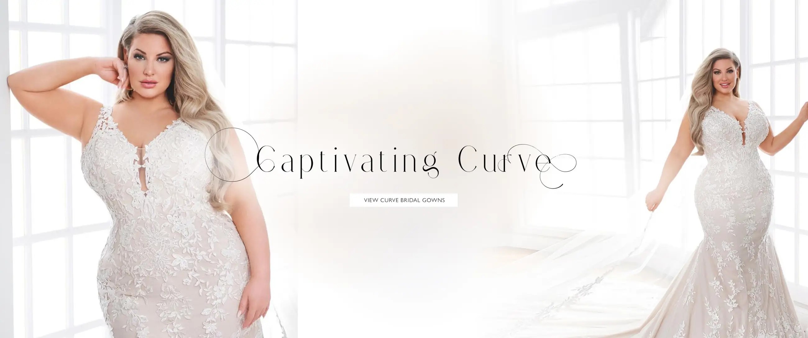 Captivating Curve Banner
